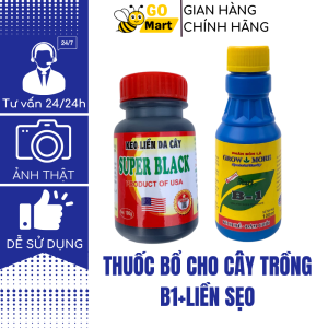 Keo liền da cây SUPER BLACK và kích rễ B1 vitamin cho cây rồng, cây cảnh - Gomart
