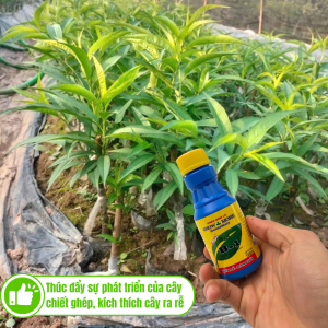 Phân bón cây trồng